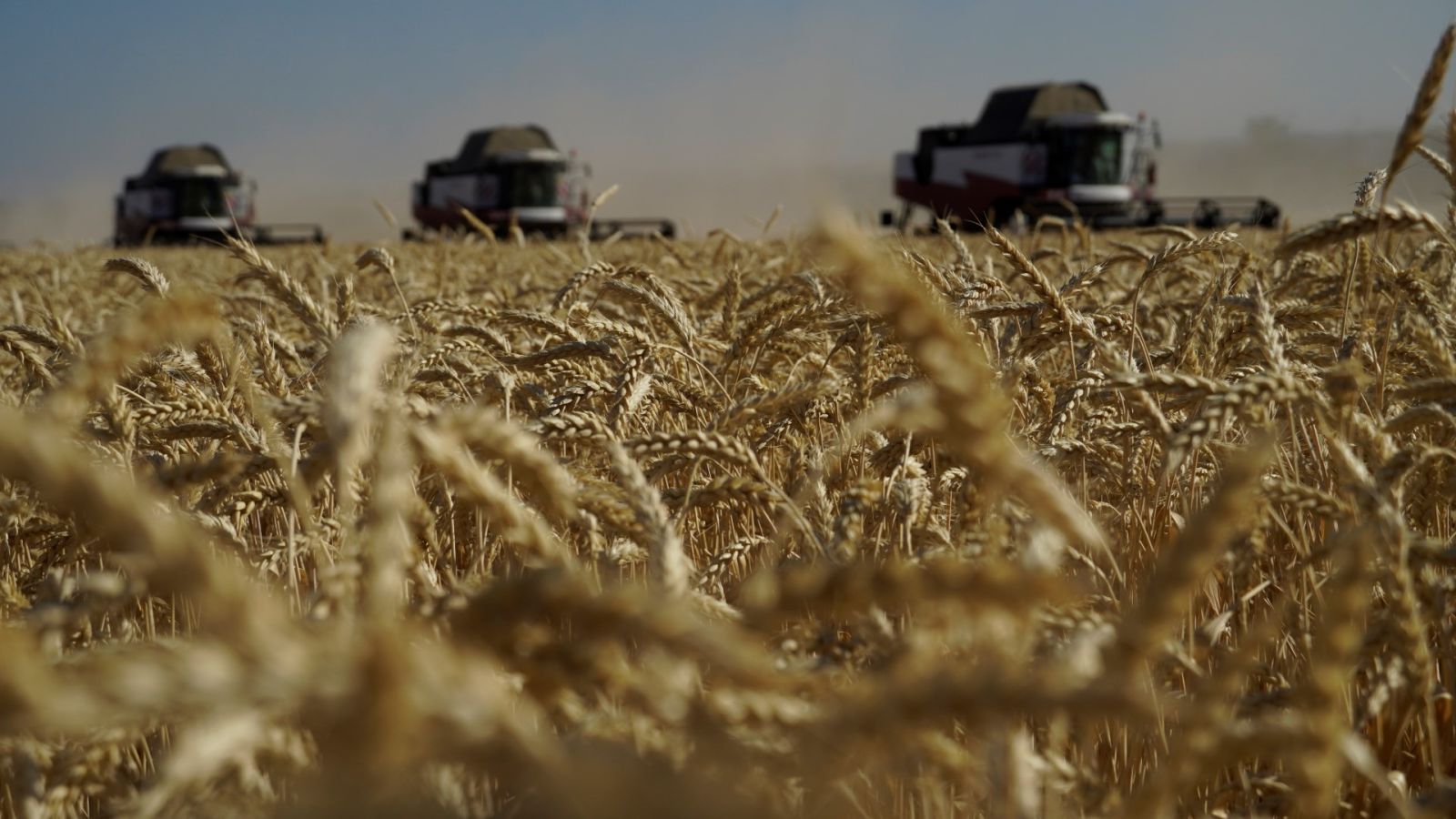 Russia tops grain exporters worldwide