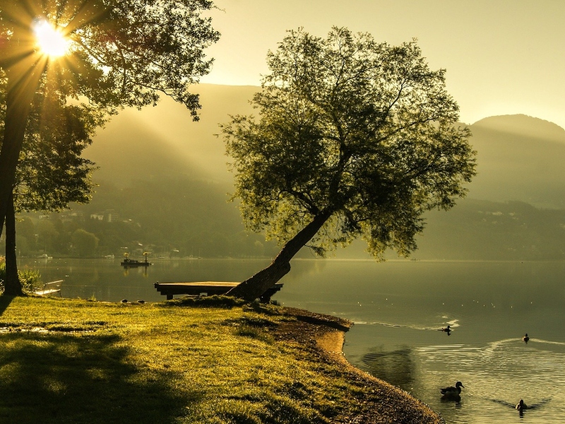 ما تفسير الحلم بالبحيرة في المنام؟