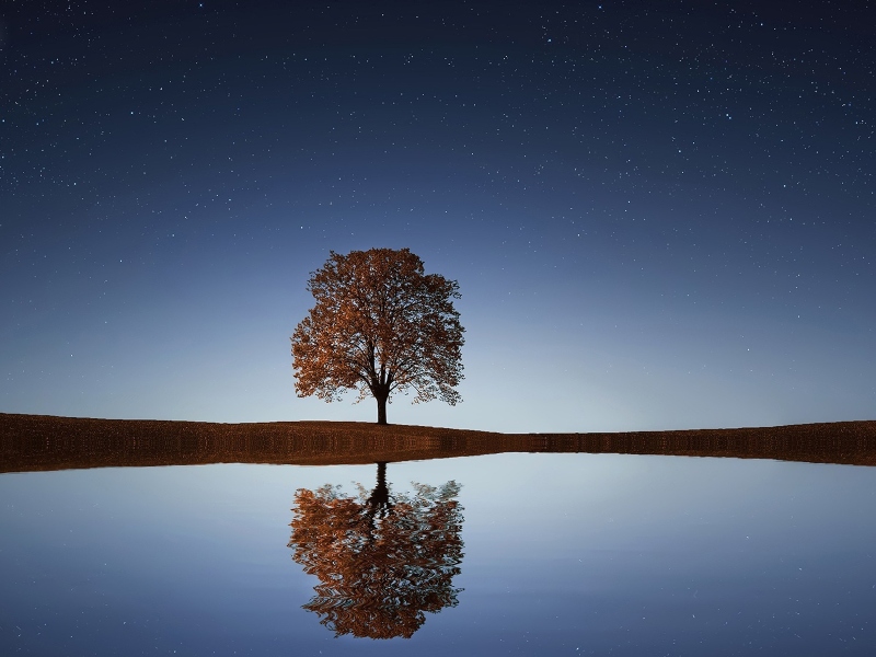 ما تفسير الحلم بالبحيرة في المنام؟