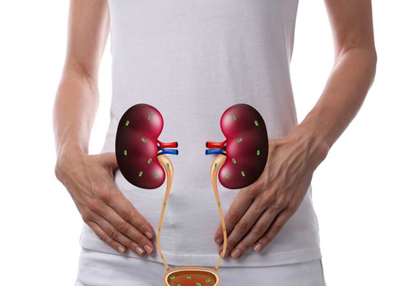 هل البقدونس يفيد الكلى؟