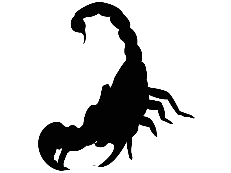 برج العقرب والجنس2021