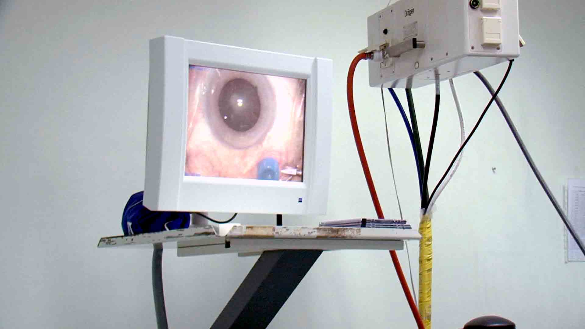 دكتورة دينا جاويش