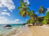 موريشيوس حكاية حب لا تنتهي... الأسباب التي تجعلها عاصمة شهر العسل عالميًا موريشيوس حكاية حب لا تنتهي... الأسباب التي تجعلها عاصمة شهر العسل عالميًا