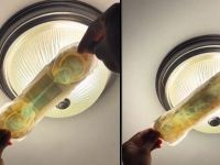 Mold and insects find inside new pads raising questions about heath and hygiene. (TikTok video screenshots) Mold and insects find inside new pads