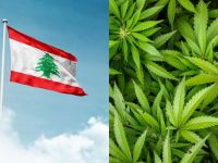 Shutterstock Lebanon